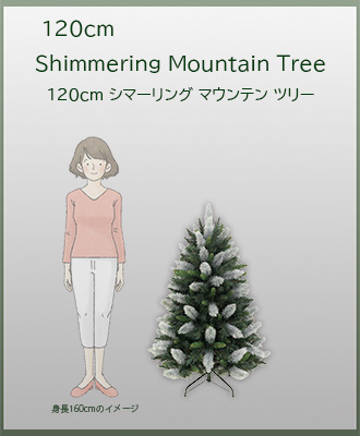 �T�C�Y�C���[�W